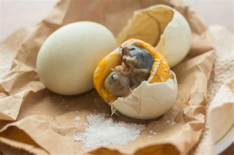 Balut, a főtt kacsaembrió