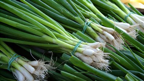 Különböző hagymafajták