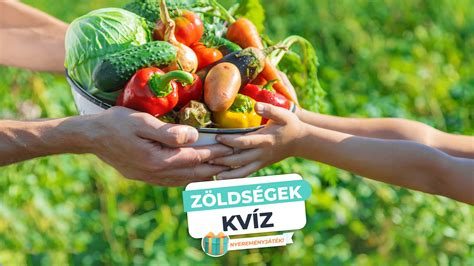 Tányéron elrendezett ételválaszték