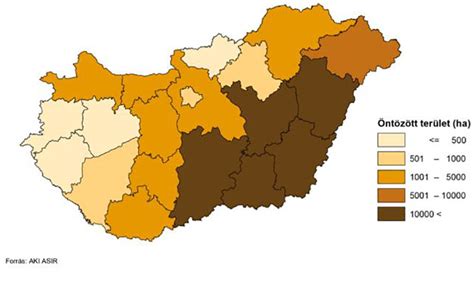 Mezőgazdasági terület betakarításkor