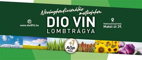 Dió 896 Kft. raktárbázis
