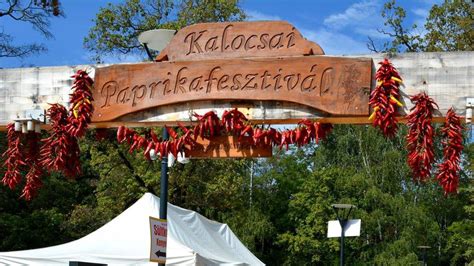 Kalocsai paprika ültetvény