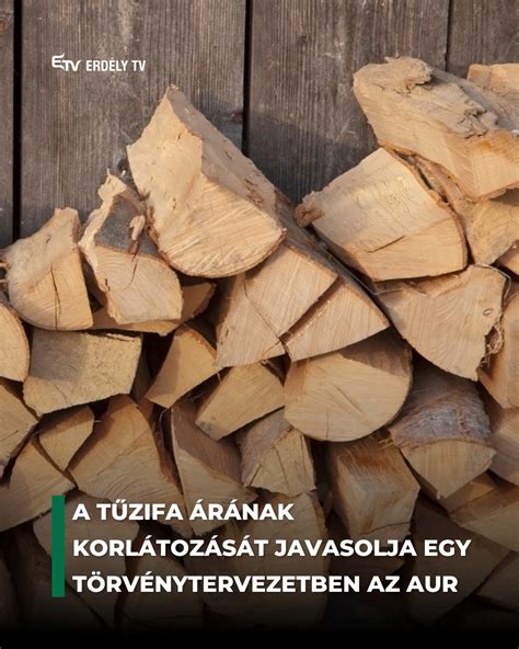 Füstölőanyagként használt fűrészpor és fadarabok