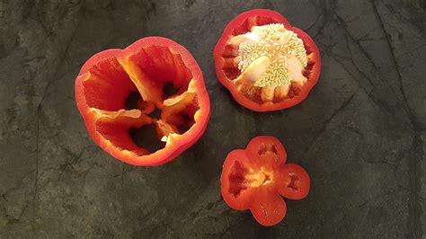 A paprika tápanyagtartalmának grafikonja