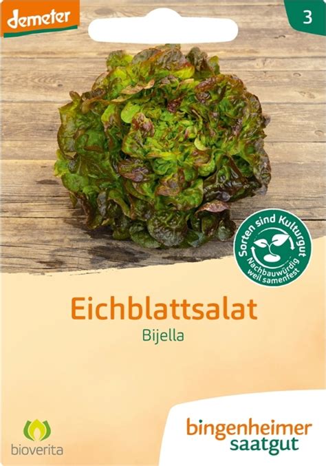 A tépősaláta folyamatos szedésének illusztrációja