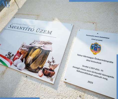Jégkrémgyártó üzem