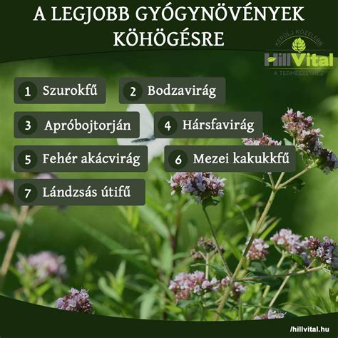 gyógynövények gyűjteménye