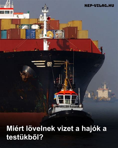 Illusztráció az ördögnyelv rostjairól, amelyek felszívják a vizet