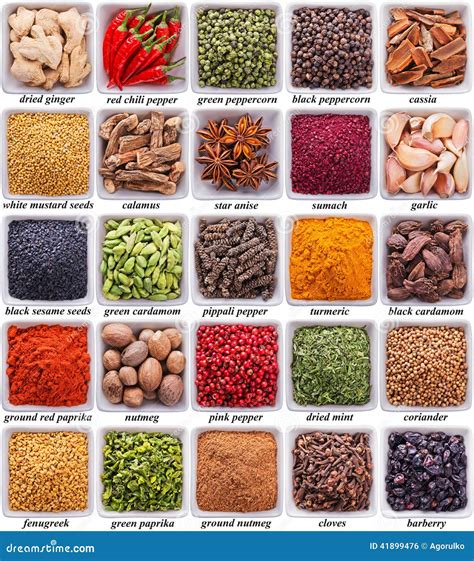 variety of spices and herbs