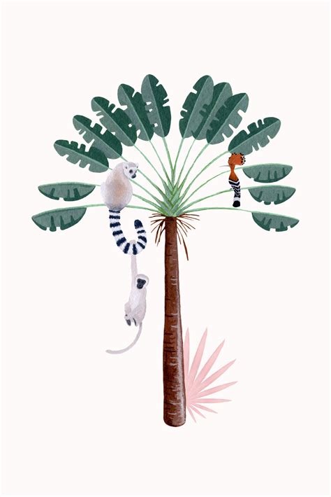 Illusztráció lucernáról és cékláról