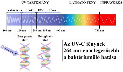 A fényspektrum hatása a növényekre
