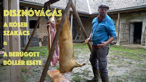 Szakértő sakter kóser vágást végez