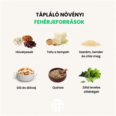 Fehérjeforrások