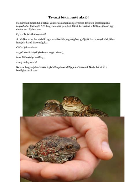 Békamentő akció Farmoson