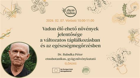 Ehető vadon élő növények gyűjtése illusztráció
