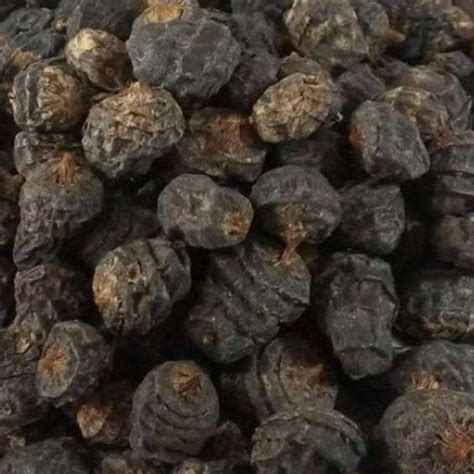 Tigrismogyoró csaliként