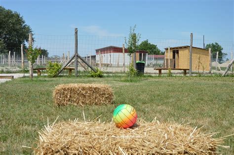 Strucc farm