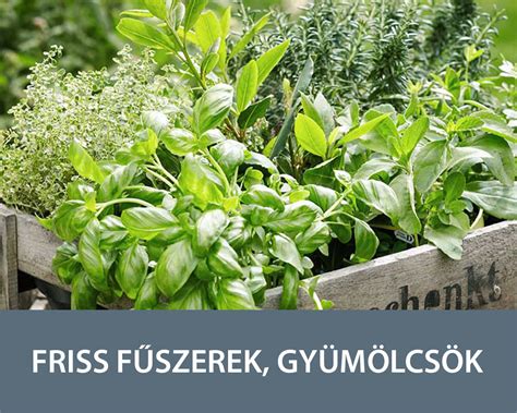 Friss máj és fűszerek