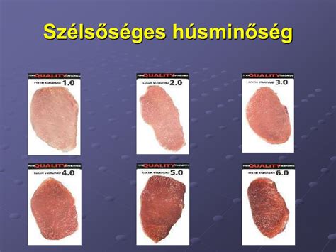 A húsminőség elemei - infographic