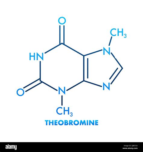 Theobromine molecule structure