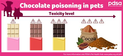 Theobromine toxicity chart for cats based on weight and chocolate type