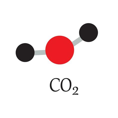 A CO2 szerepe a fotoszintézisben diagram