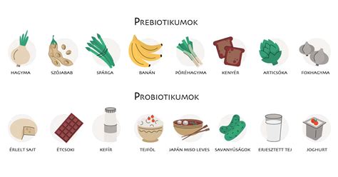 Bélflóra és probiotikumok