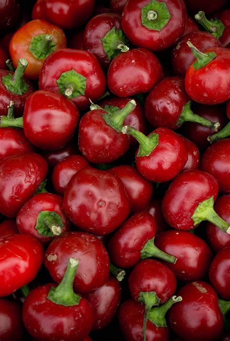 Különböző paprikafajták képe