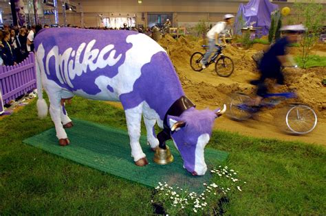 Milka logó és lila tehén