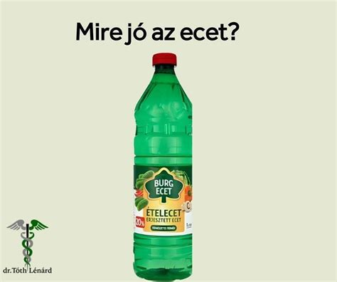 Babérlevelek és ecet egy edény mellett, hangsúlyozva a savanyú ízvilág és az aroma fontosságát.