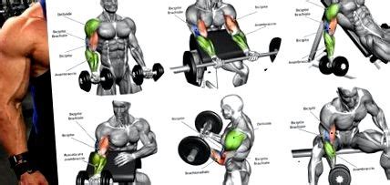 Bicepsz gyakorlatok francia rúddal