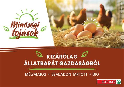 tojásválaszték a boltban