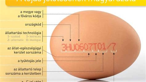 tojáskód magyarázat