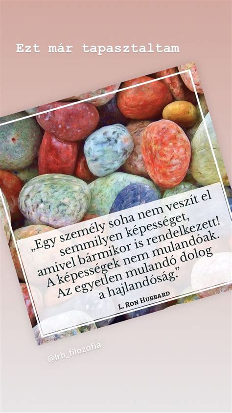 Szeretem a nokedlit - mozaikok az életről