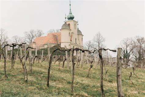 A kőszegi szőlőhegy