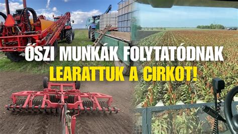 Zabmező és aratás
