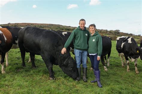 Angus marhák legelésznek a Farm 54-en