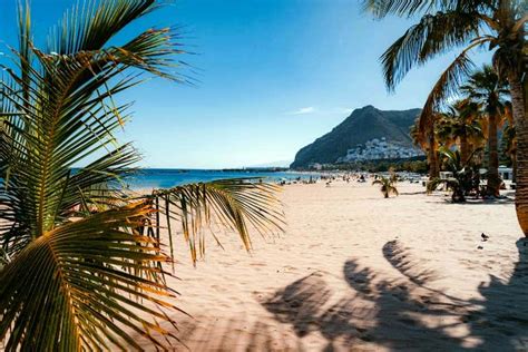 Tenerife látképe pálmafákkal és óceánnal