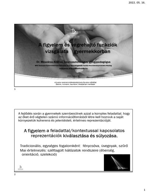 Naposcsirkék szárnyainak vizsgálata