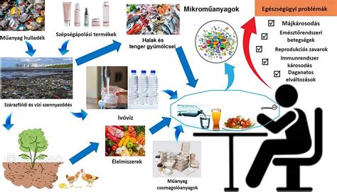 A mikroműanyagok az élelmiszerláncban