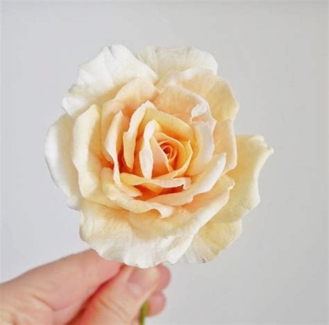 Cukor rózsa készítésének folyamata