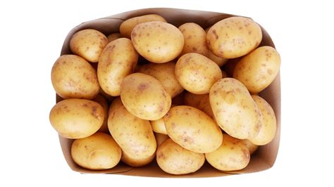 Krumpli típusok