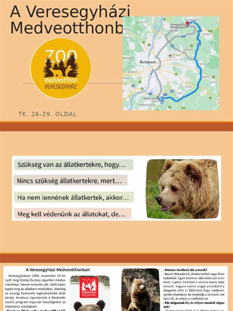 Barnamedvék a Veresegyházi Medveotthonban