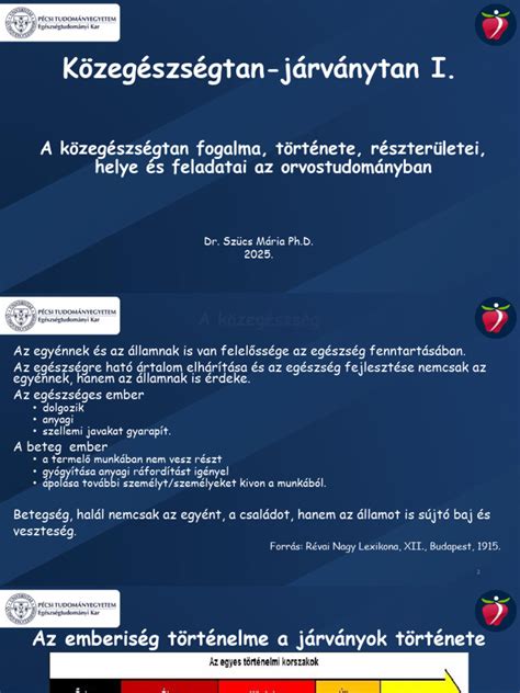 A rilette fogalma és története