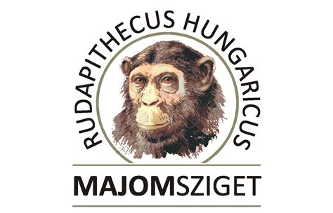 A Rudapithecus hungaricus rekonstruált csontváza, kiemelve a medencecsontot
