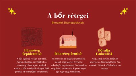 összehasonlító diagram, amely bemutatja a bőr rétegeit: az első réteg (nappa), a második réteg és a szintetikus bőr szerkezetét