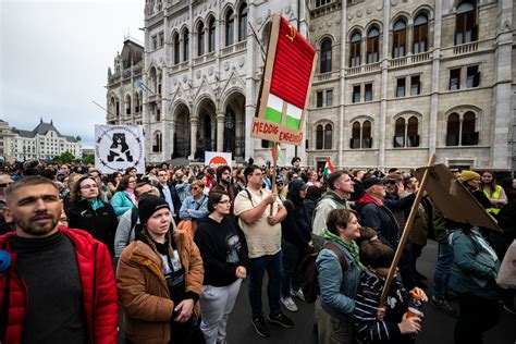 Állatjogi aktivisták tüntetnek a lovas merülés ellen