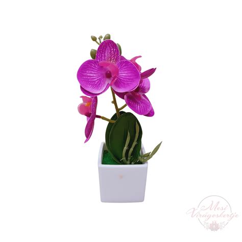 orchidea egy virágos ablakpárkányon