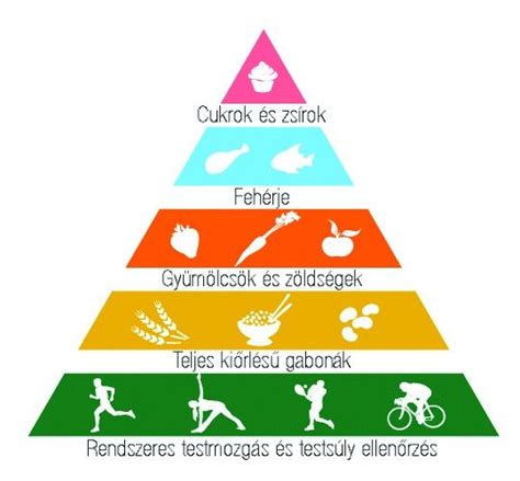Az egészséges és egészségtelen zsírok diagramja