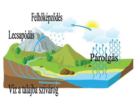 A víz körforgását ábrázoló diagram